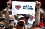 bear down towel